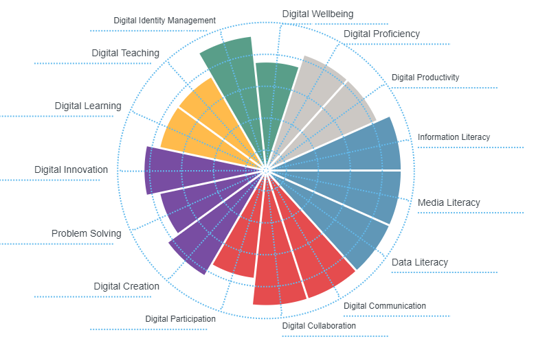 Polar area diagram of 15 sectors, arranged into 6 areas of digital capabilities.