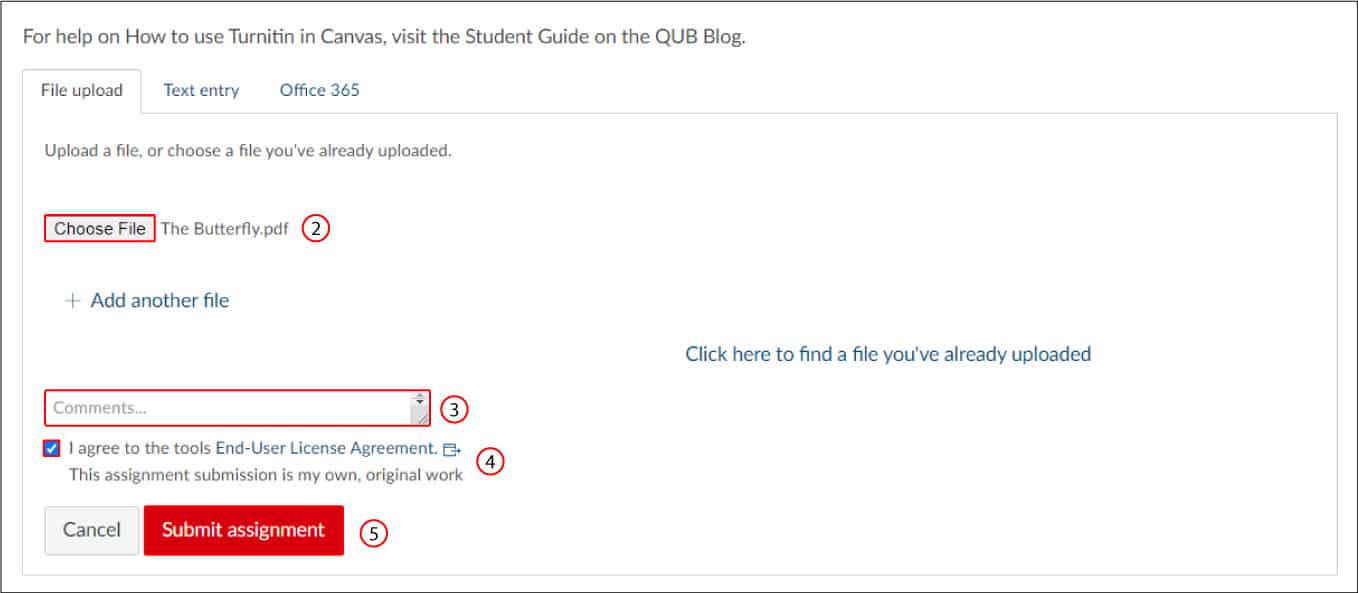 Figure 2 – Turnitin Assignment – Submit File