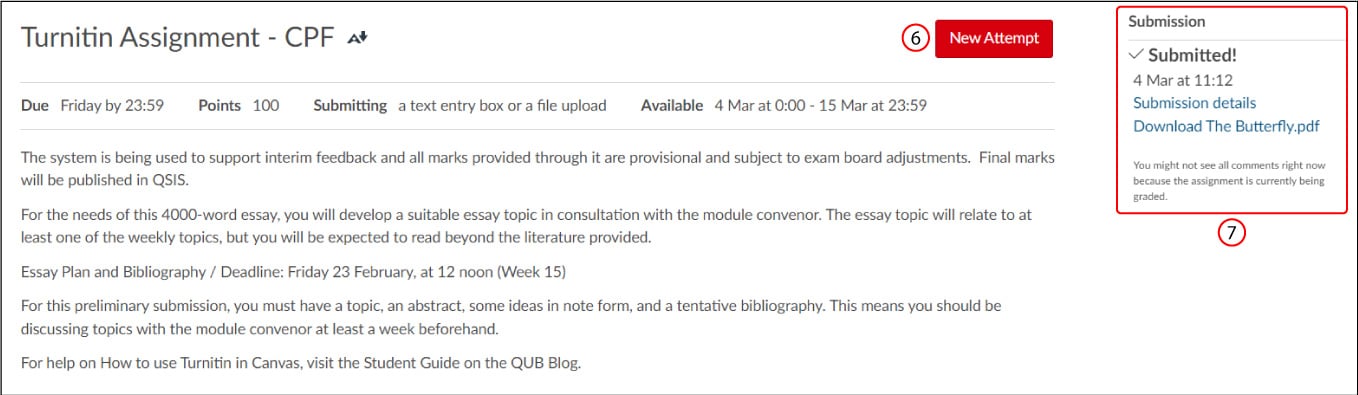 Figure 3 – Turnitin Assignment – Submission submitted