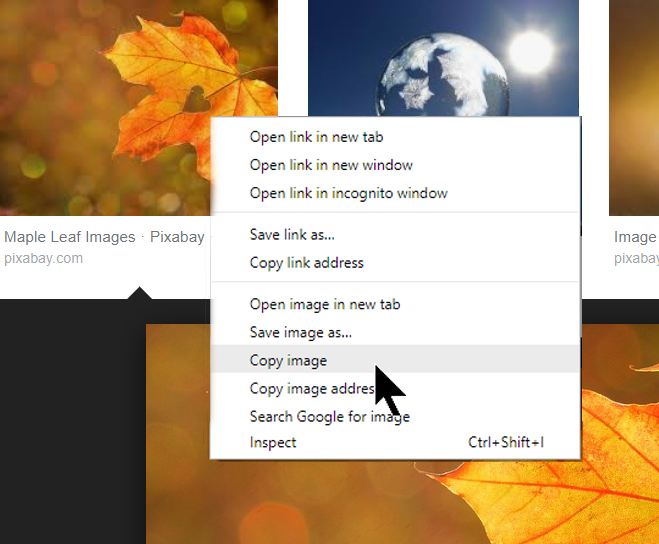screenshot of copy menu in Google images