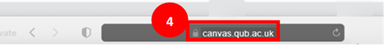 Safari in private browsing window highlighting 'canvas.qub.ac.uk' typed in search bar as step 4.