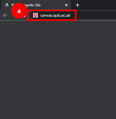 Chrome incognito browser window highlighting 'canvas.qub.ac.uk' typed in search bar as step 4