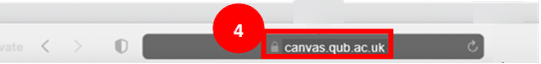 Safari in private browsing window highlighting 'canvas.qub.ac.uk' typed in search bar as step 4.