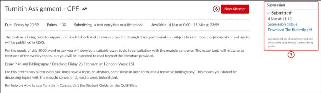 Turn In Paper Student Turnitin Guide in Canvas - Queen's DigiHub