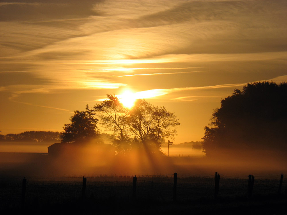 Why COP21 should not get our hopes up on climate change