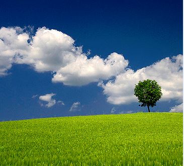 environment protection