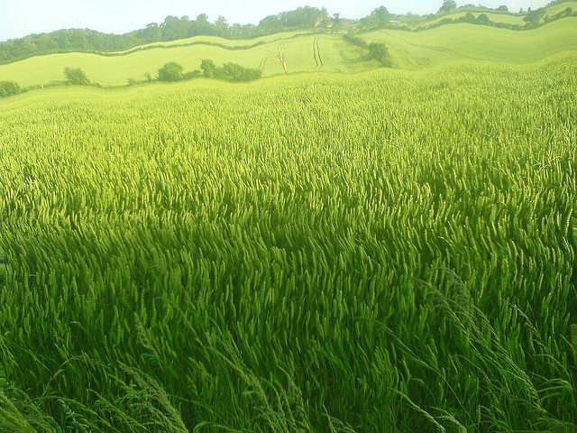 Brexit: Populism and Progressive Politics Workshop