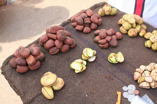 Africa’s food fraud problem is immense – but we can help