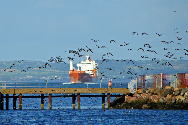 What does the ‘New Decade, New Approach’ (NDNA) agreement mean for Northern Ireland’s Brexit?