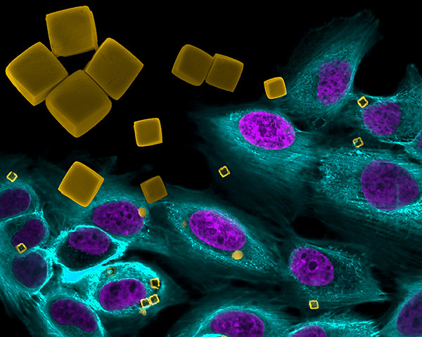 Delivering solutions to the cancer crisis – acting on the evidence