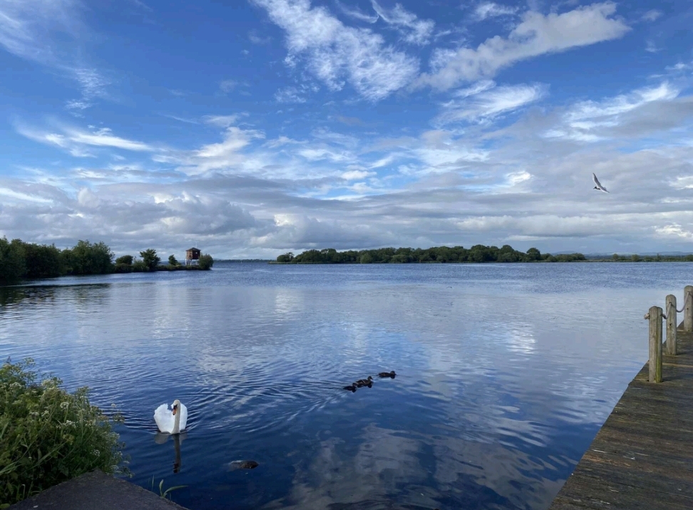 Saving Lough Neagh: The Contribution of the ‘Rights of Nature.’