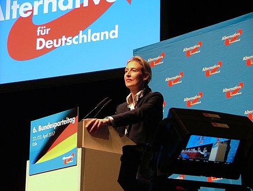 The winner takes it all? Reflection on the election success of the Far-Right in Germany