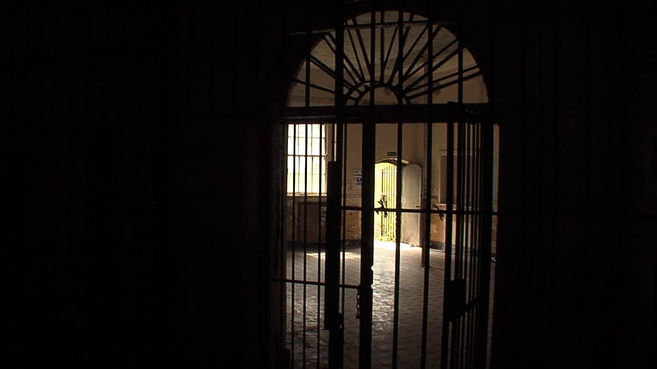 View through the gated doors. View through the gated doors.