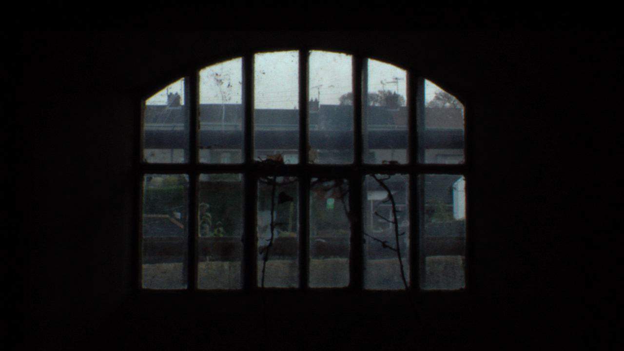 Cell window view. Cell window view.